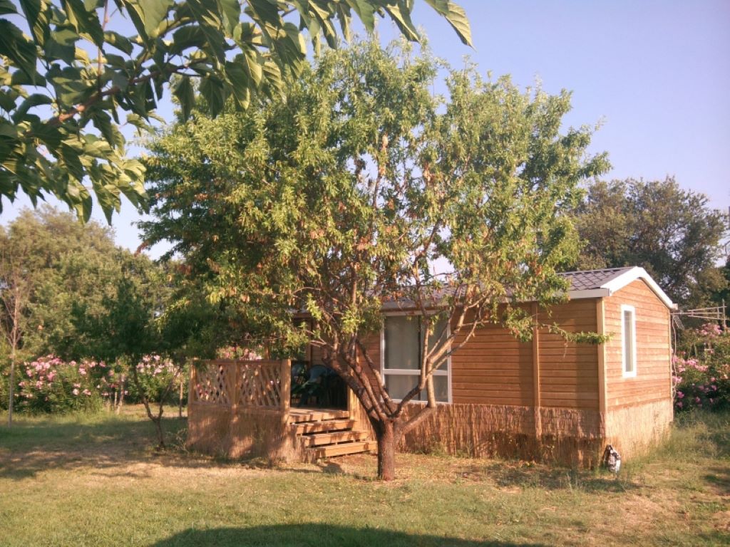  FICAJOLE