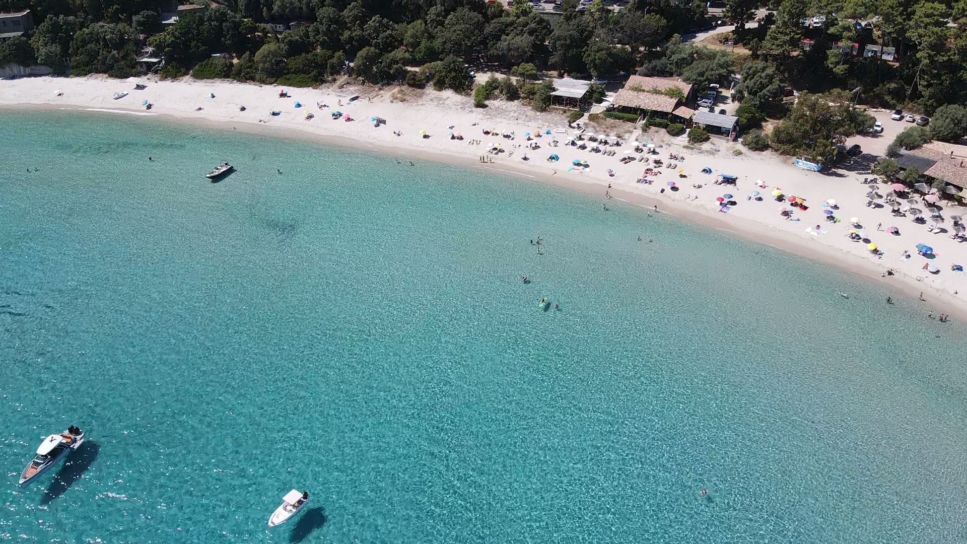  CANELLA