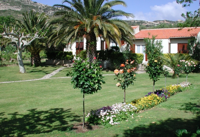  CASA OLEANDA 3B_5_5