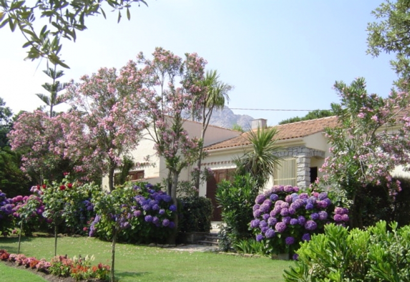  CASA OLEANDA - VILLA _6_6
