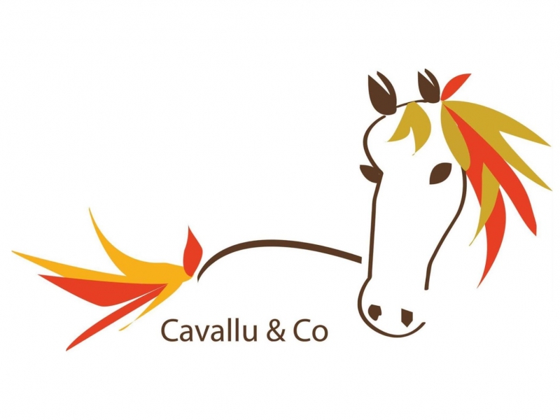  CAVALLU AND CO _5