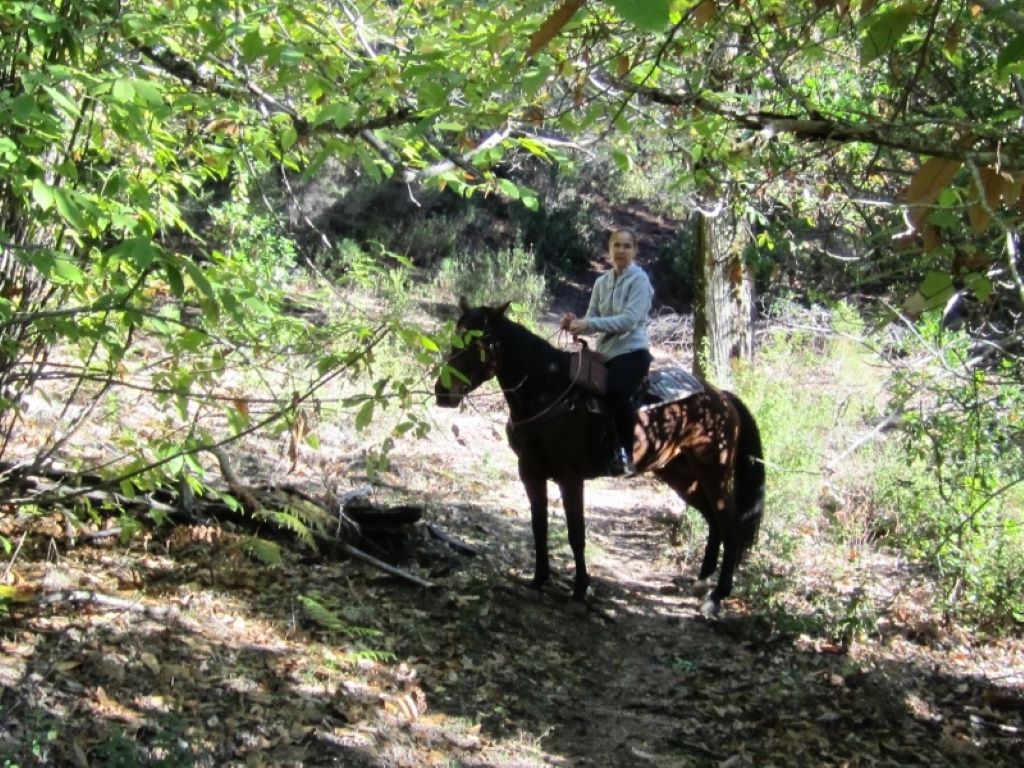  CAVALLU-E-MUNTAGNA-3-4