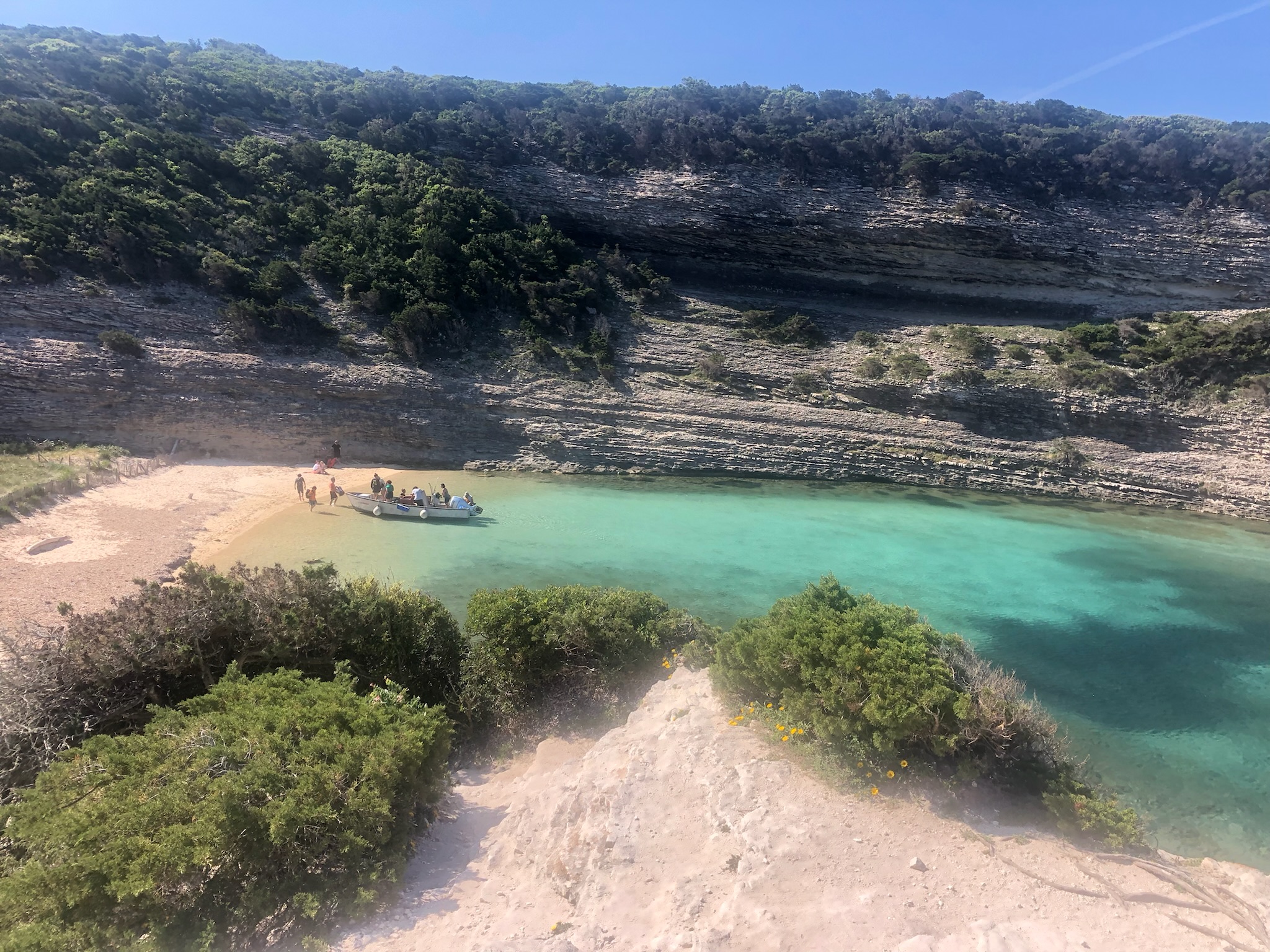  CBACC9CF-DFD1-4914-B7BD-04ACC954F436