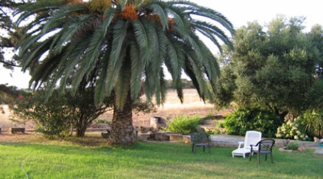 CESARI MICHELE_3