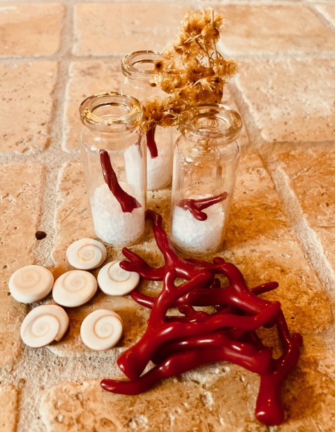  COM Catali Concept store made in Corsica 2025 (15) (Petit)