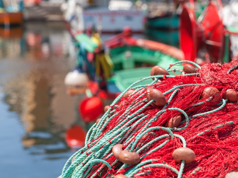  CORSICA INCOMING_5_5