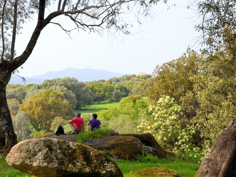  CORSICA INCOMING_7_7