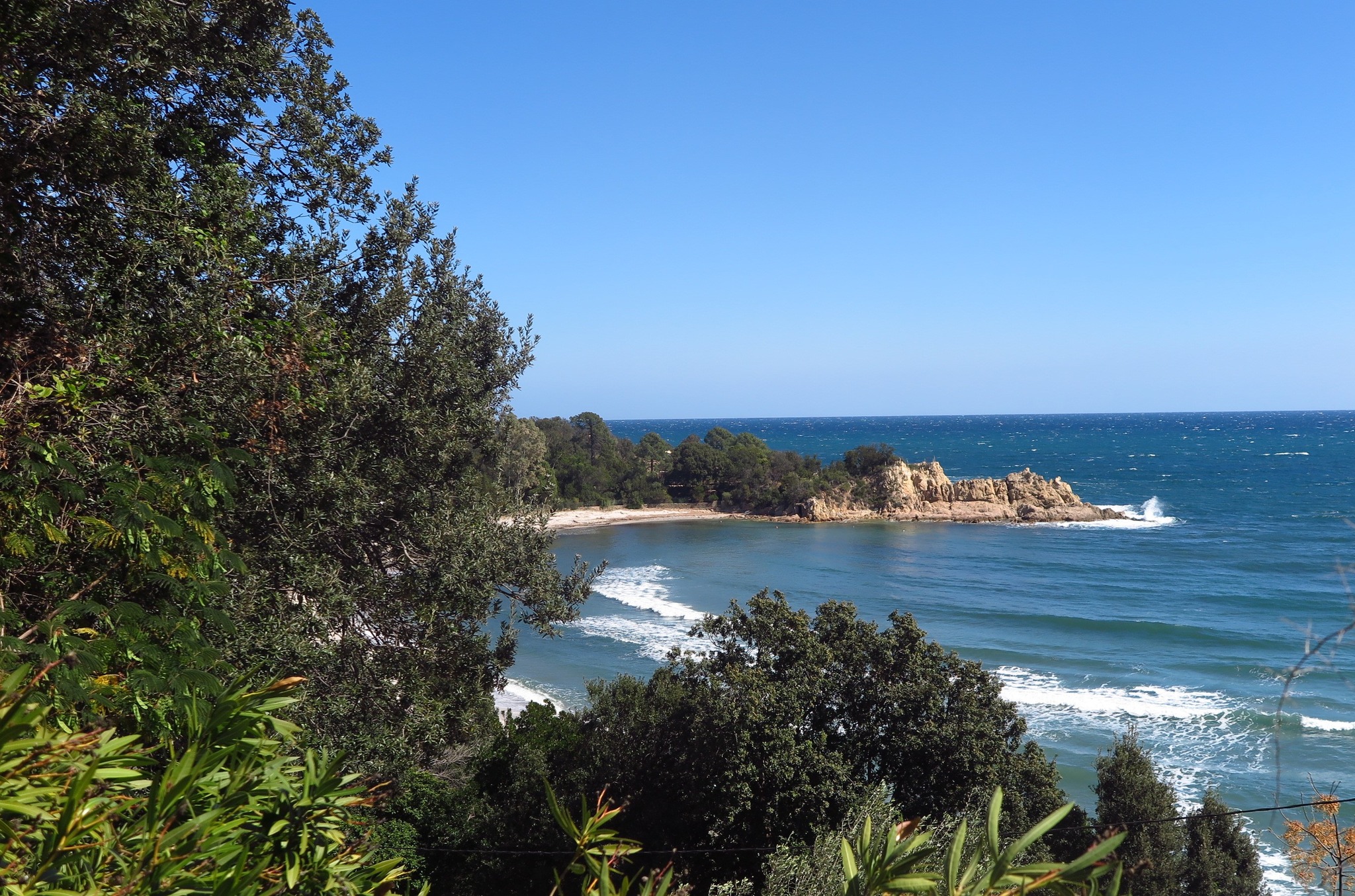  Canella PLAGE