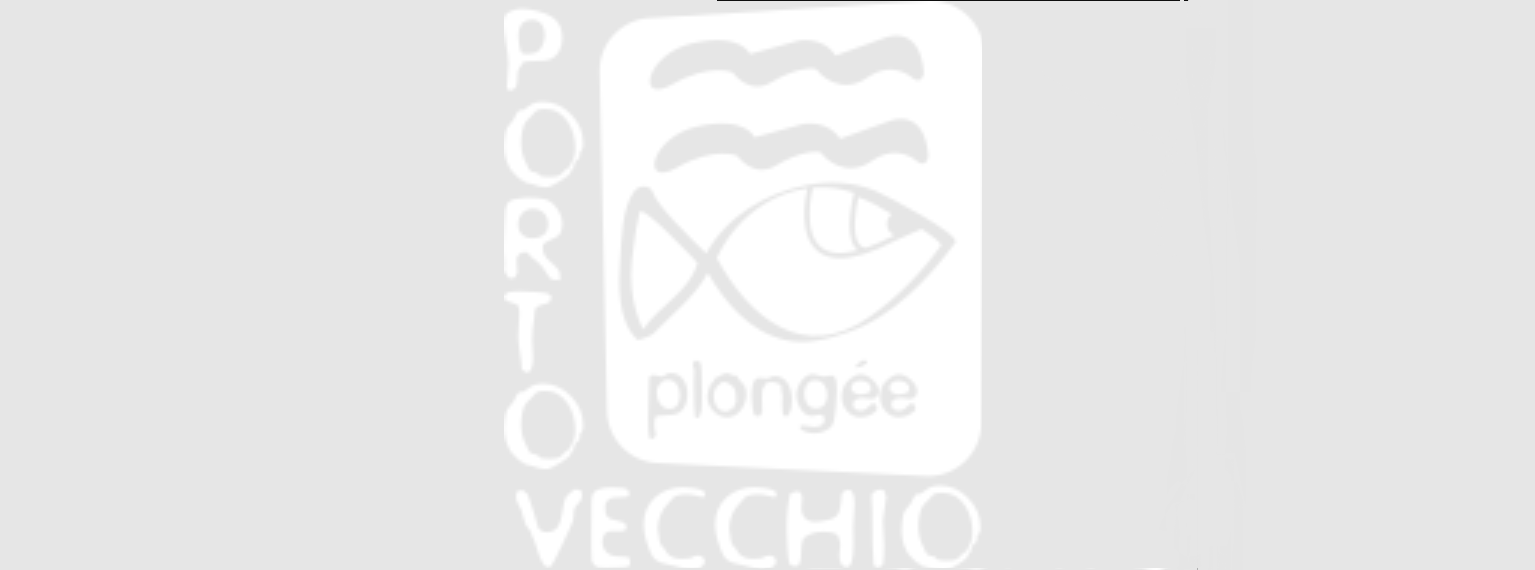  Capture d'écran 2024-01-09 164854