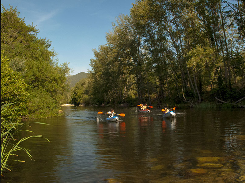  Capture d'écran 2026-03-05 161349