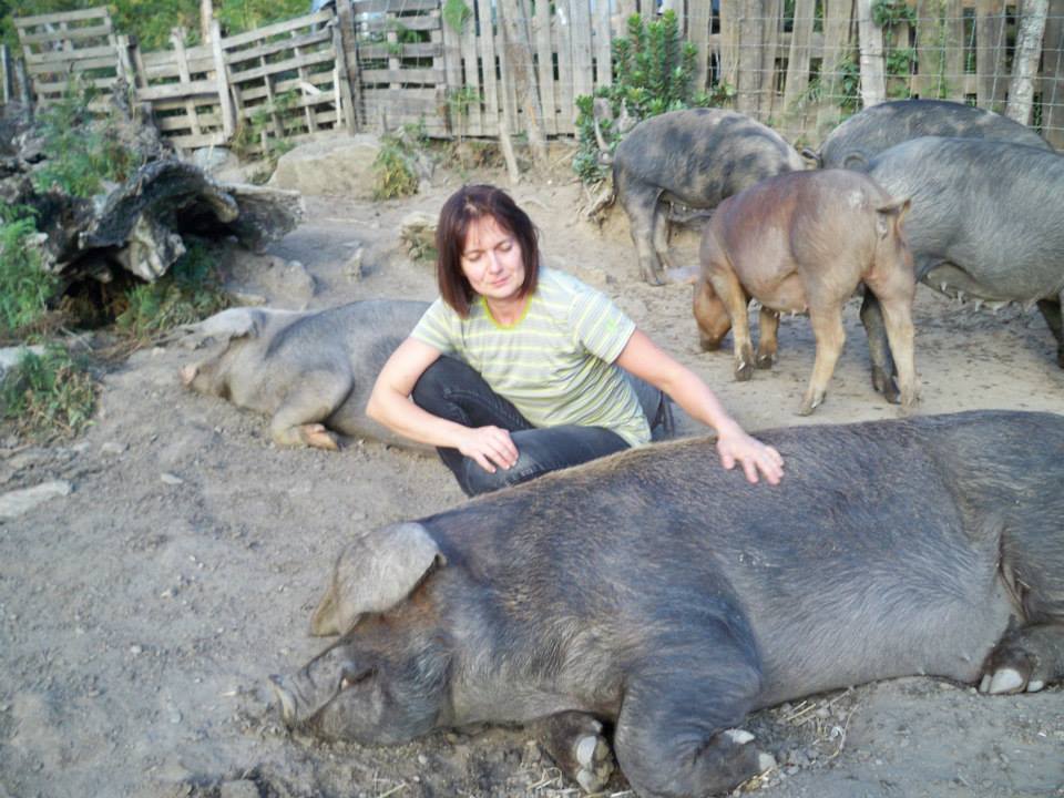  Charcuterie Gozzi