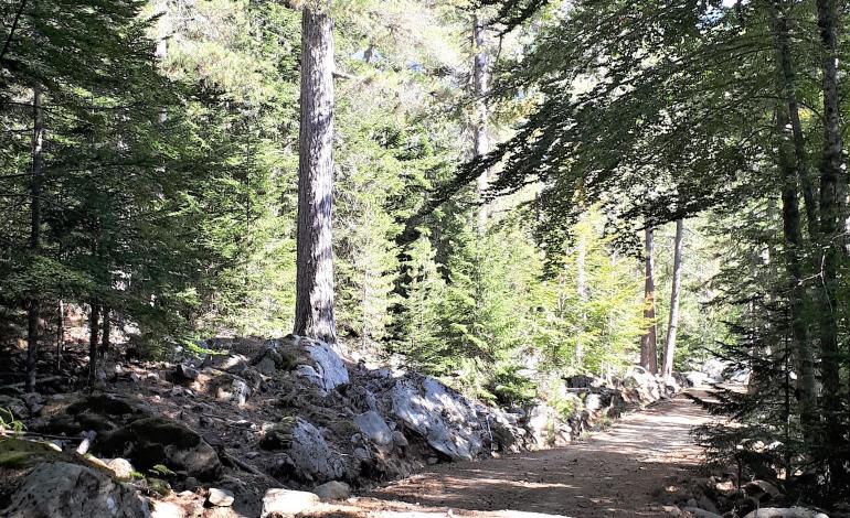 Chemin des condamnés 1 ©OT Ouest Corse