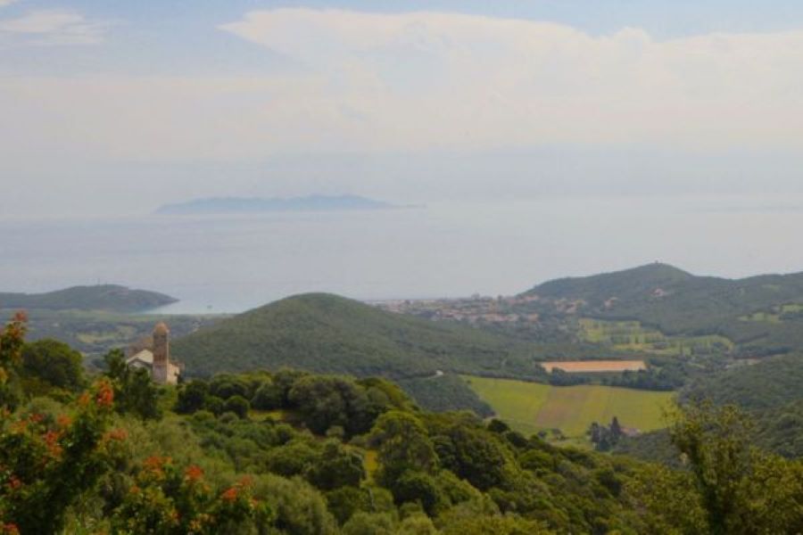  Corsica-Wine-Tours-vue-mer