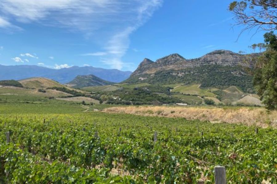  Corsica-Wine-Tours-vue-montagnes