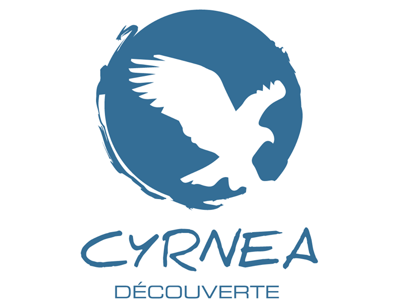  Cyrnea