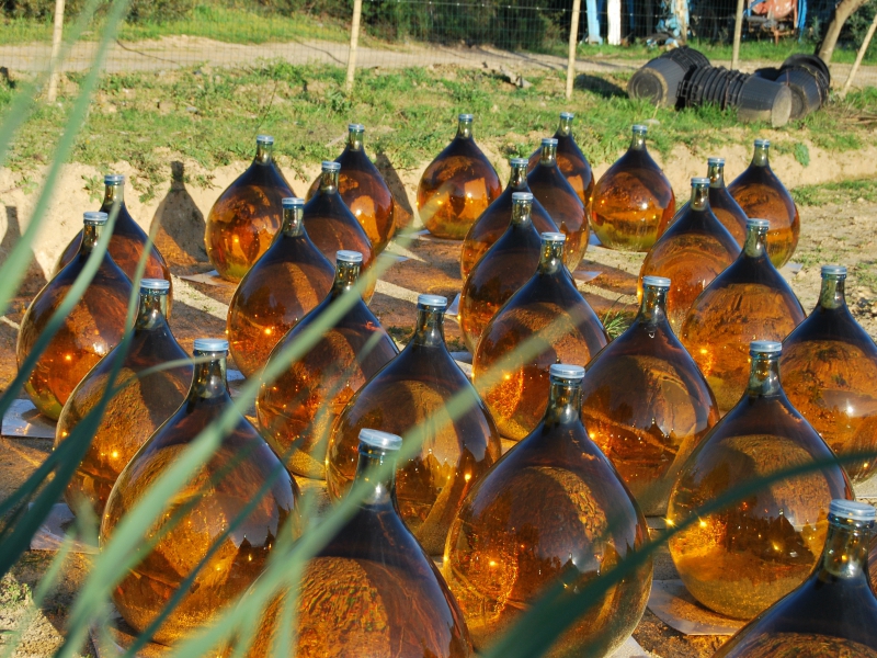  DOMAINE COSTE CASERONE - LINGUIZETTA _3