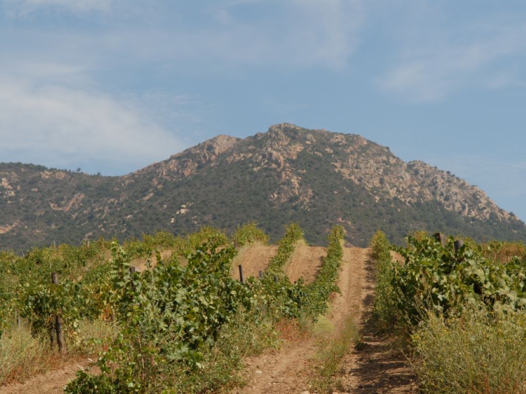  DOMAINE-DE-GRANAJOLO-STE-LUCIE-DE-PV-2
