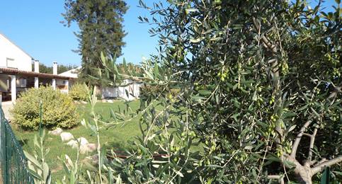  DOMAINE DE PINIA_2