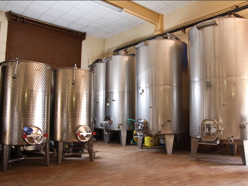  DOMAINE NOVELLA - OLETTA _2