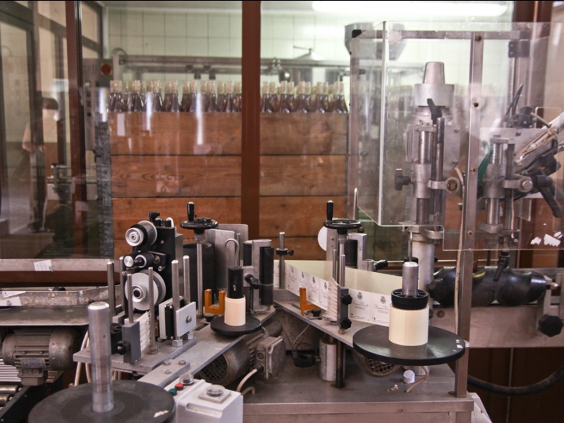  DOMAINE NOVELLA - OLETTA _3