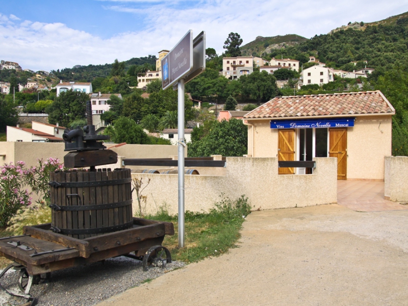  DOMAINE NOVELLA - OLETTA _1