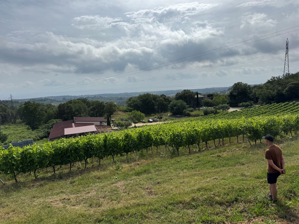 DOMAINE-VECCHIO-2025--11-