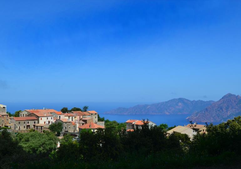 PIANA