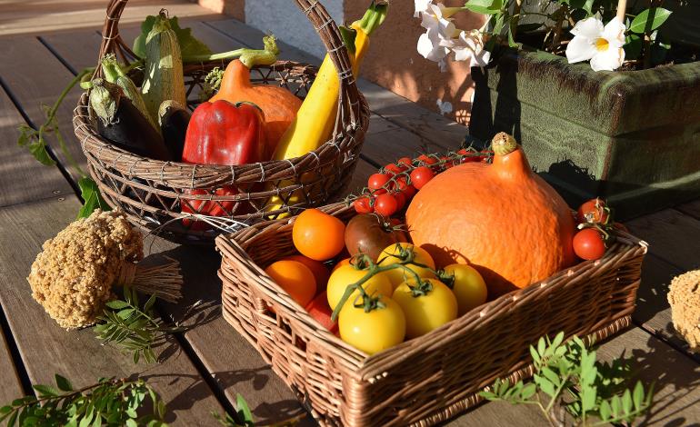 Légumes du potager leslentisques.com