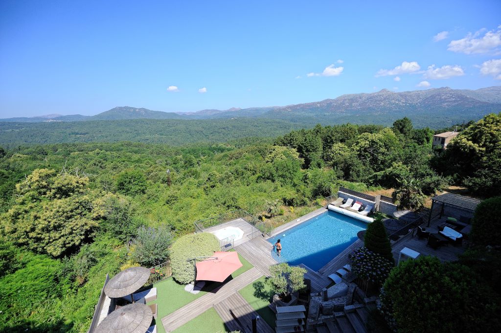  Pisicne de l'hôtel Le Tourisme
