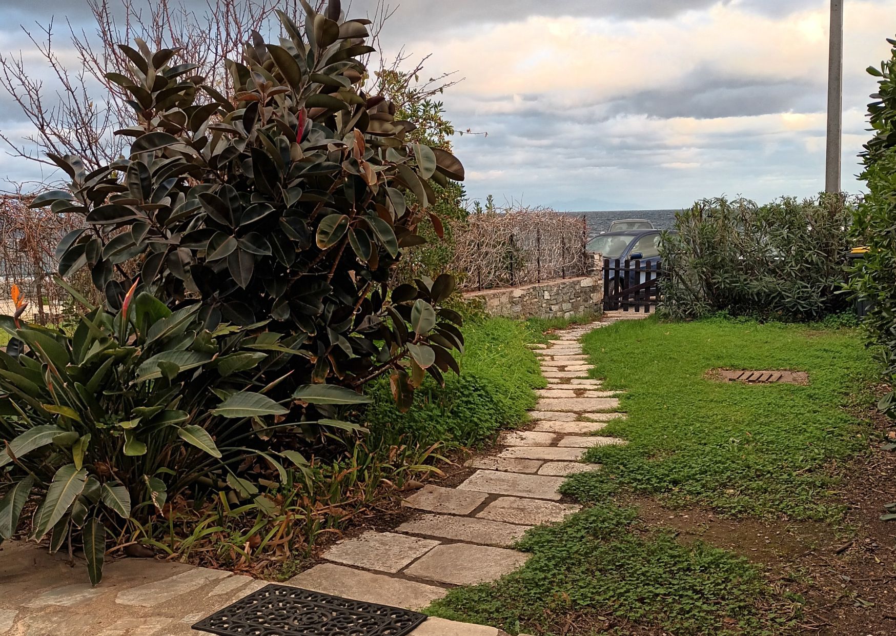  jardin medori