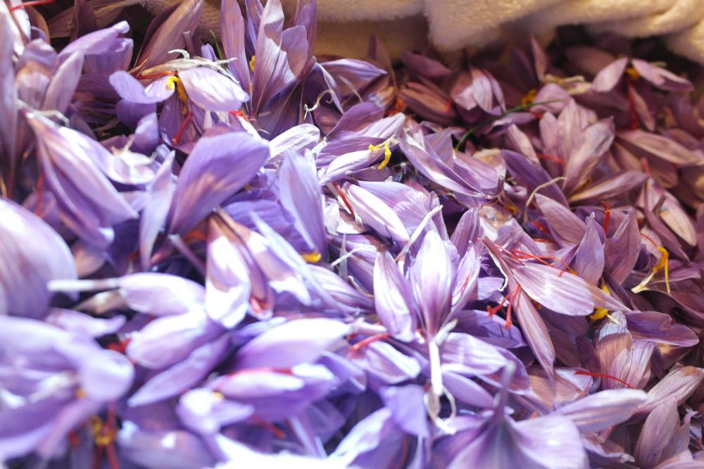  DOMAINE NEPALI