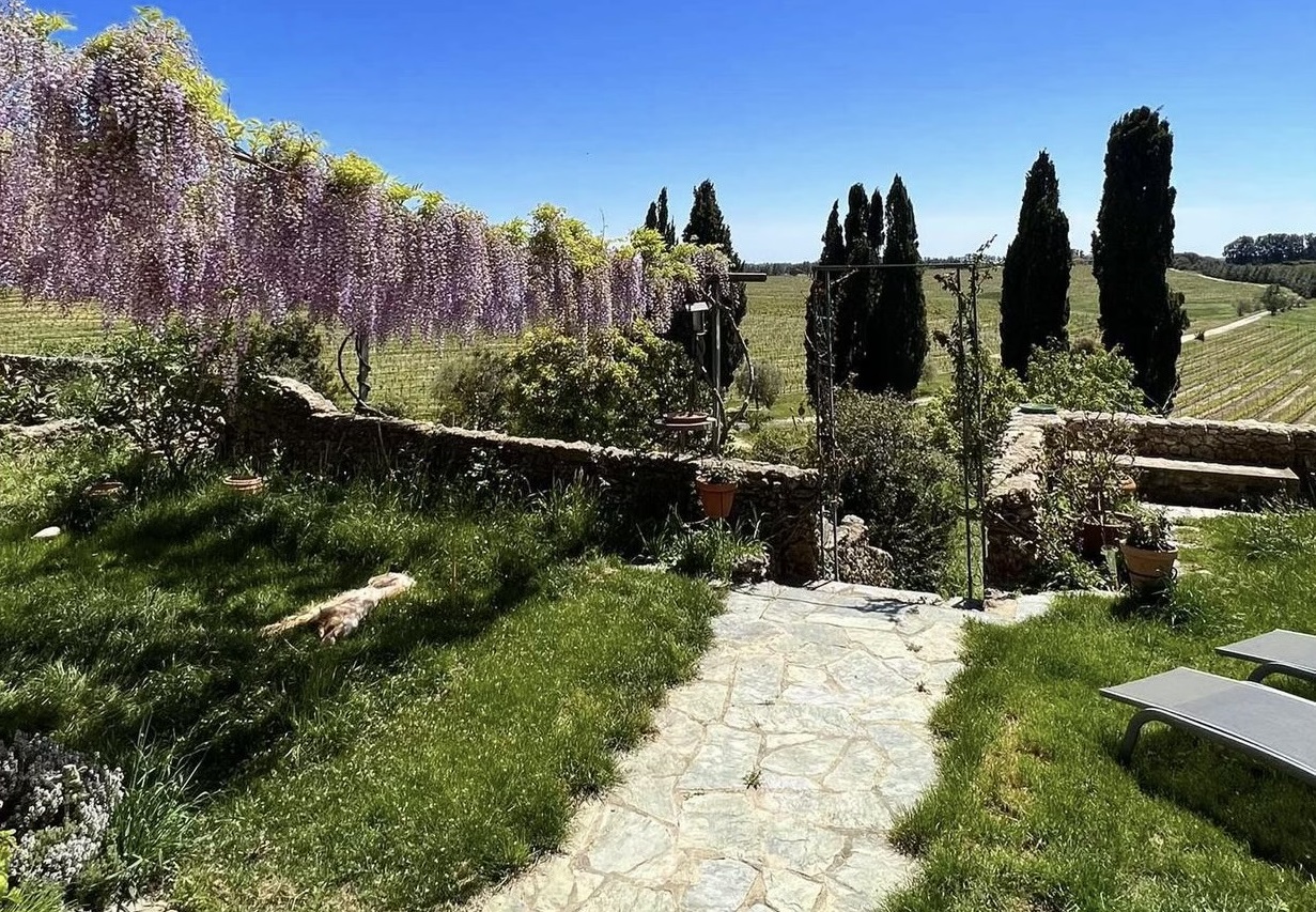  Domaine Orsucci 2
