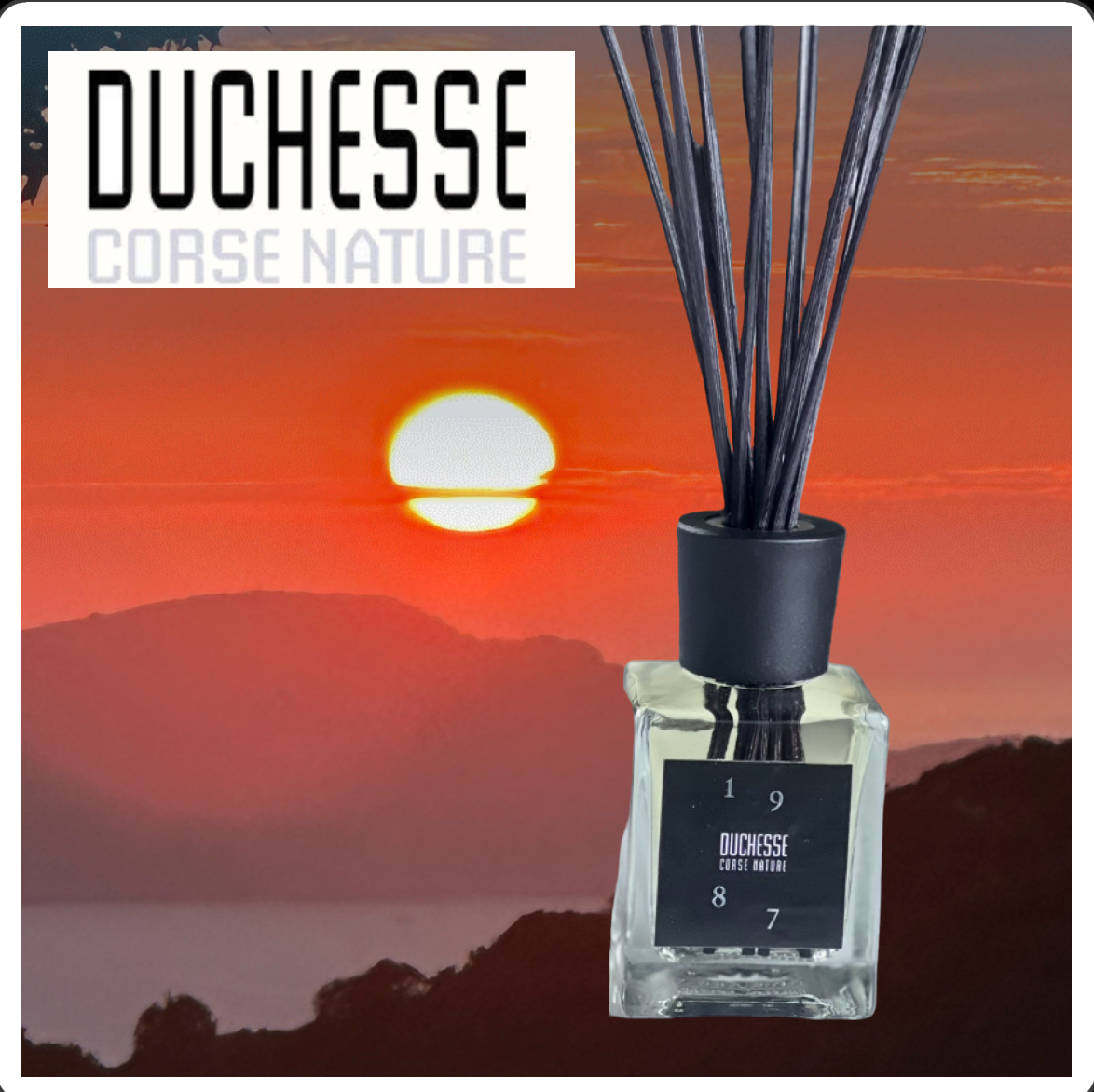  Duchesse 5