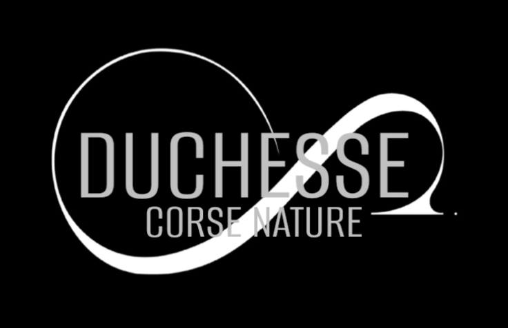  Duchssse 3