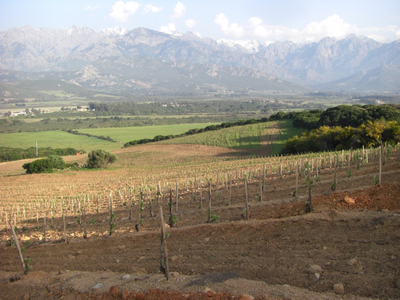  ENCLOS DES ANGES - CALVI_4