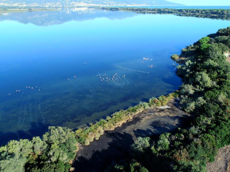  ETANG BIGUGLIA SORTIE MARANA GOLO