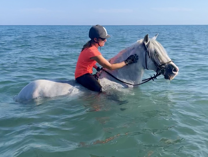  Ecurie Solea - Visuel 3