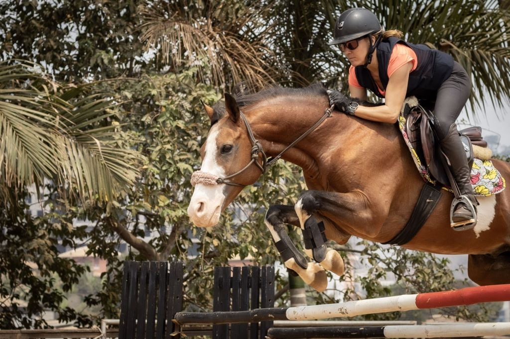  Ecurie-Solea---Visuel-5