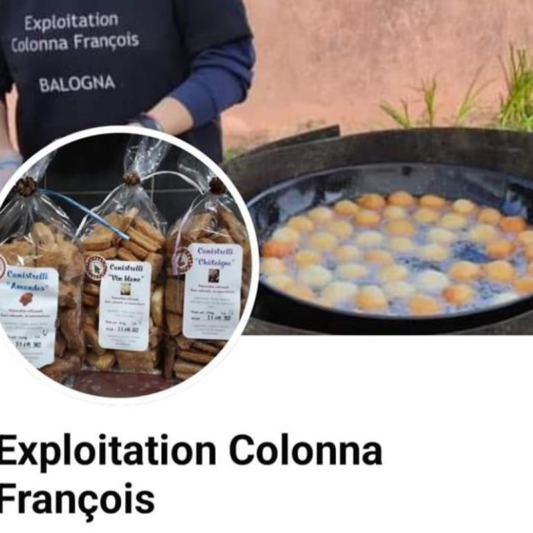 EXPLOITATION COLONNA FRANÇOIS