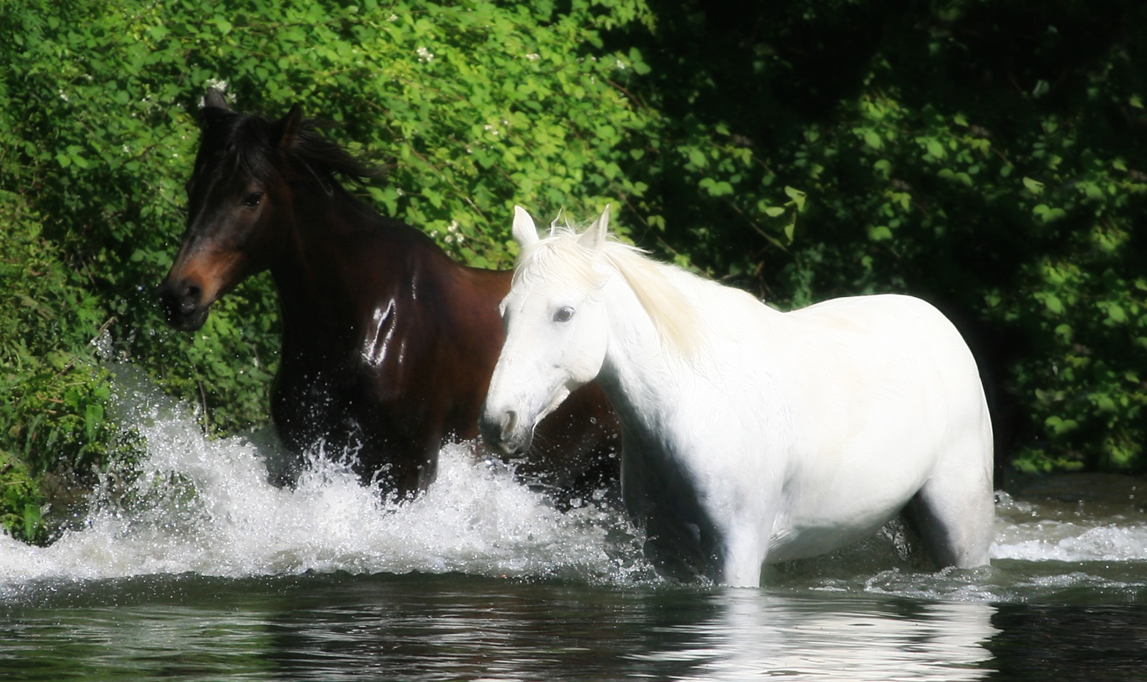   F A E EQUILOISIRS_3