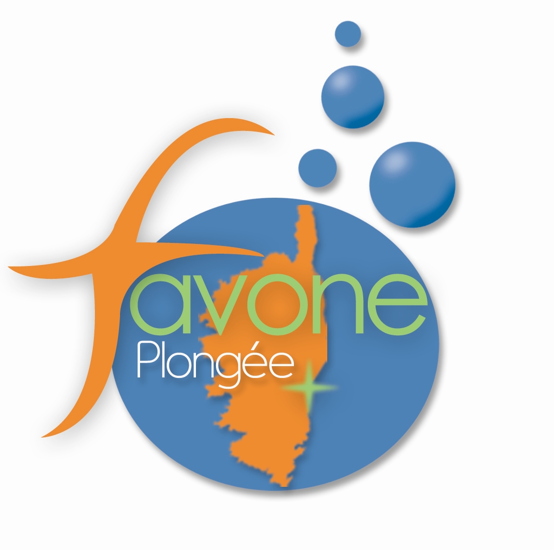 FAVONE PLONGEE_1_1