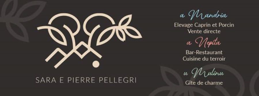  FB-IMG-1707472574707