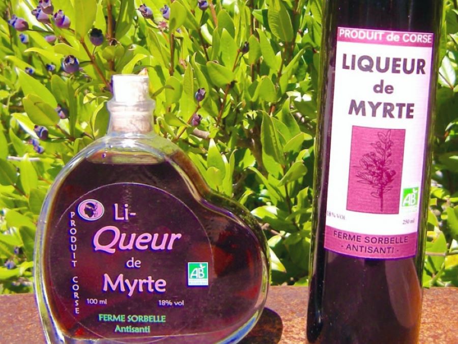  FERME-SORBELLE-ANTISANTI