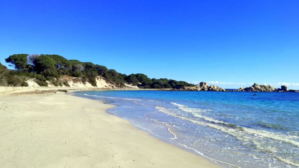 plage de Palombaggia Folaca
