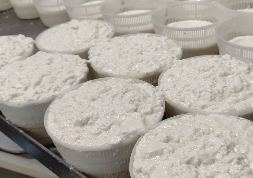  Fromagerie-Albertini
