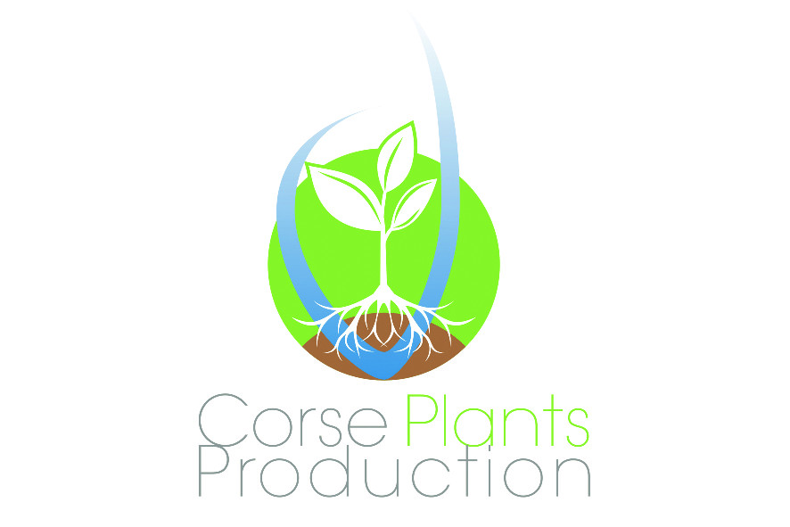  GAEC CORSE PLANTS PRODUCTION_1_1