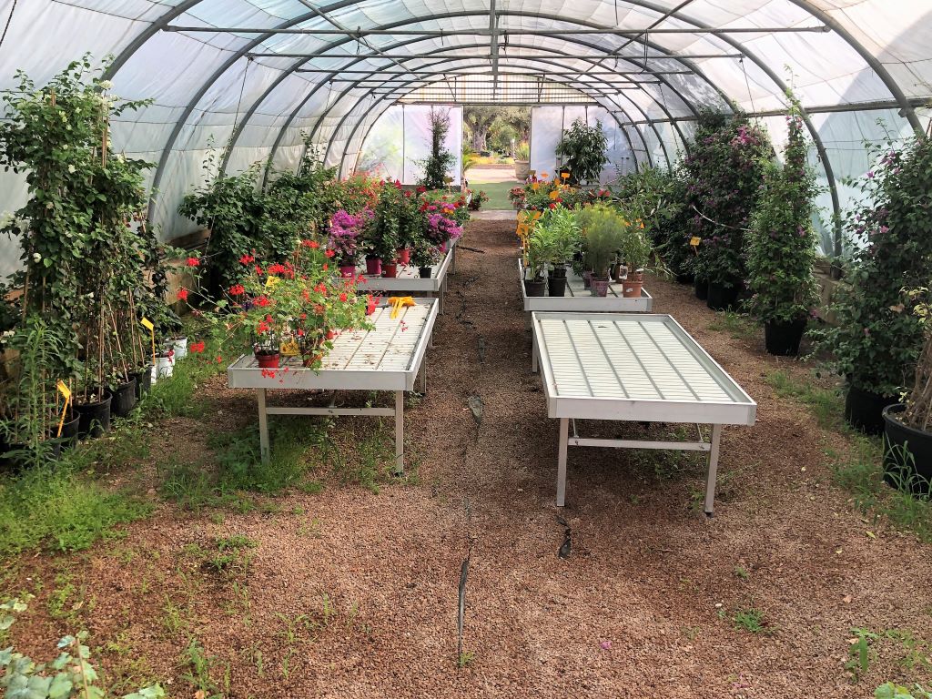  GG-24-06-2021-L-Ortu--PM--2-