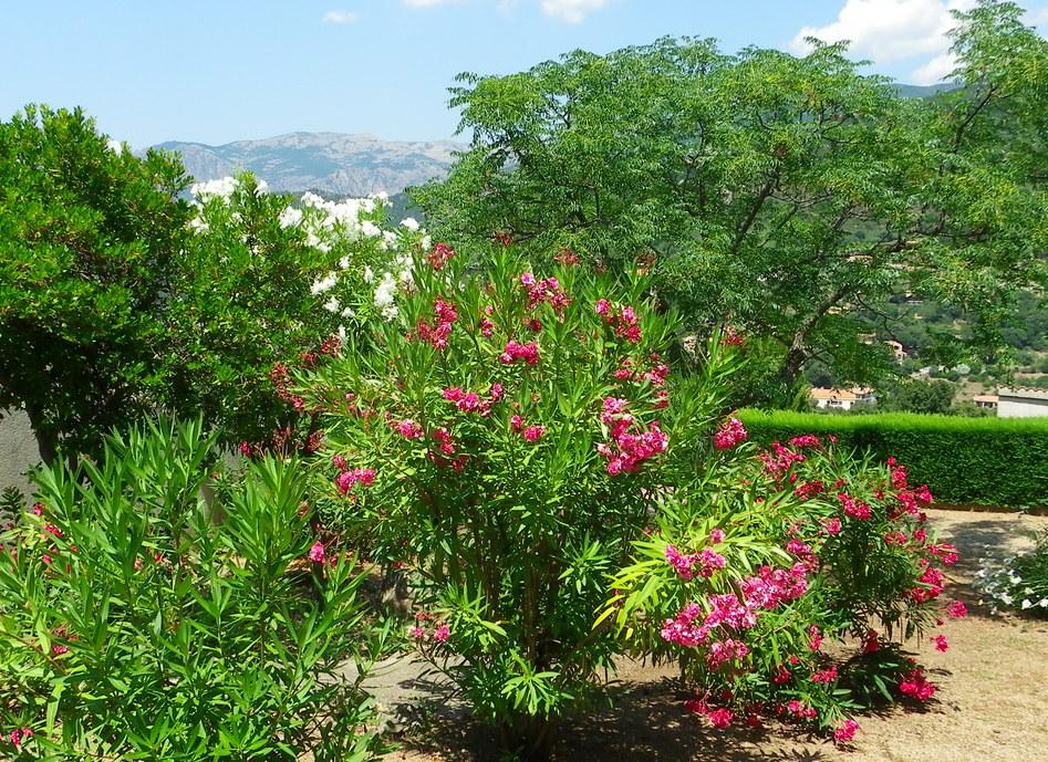HOTlesbalconsdelachiusaVico5