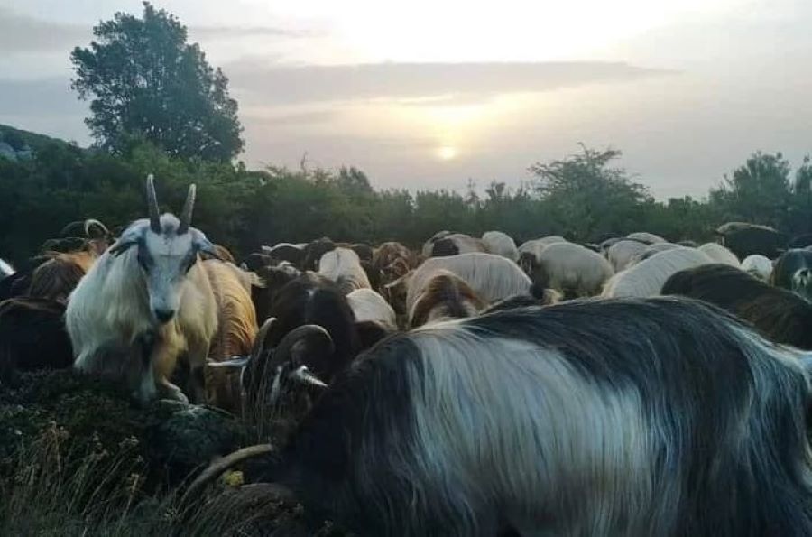  IMG-20230401-182448-629