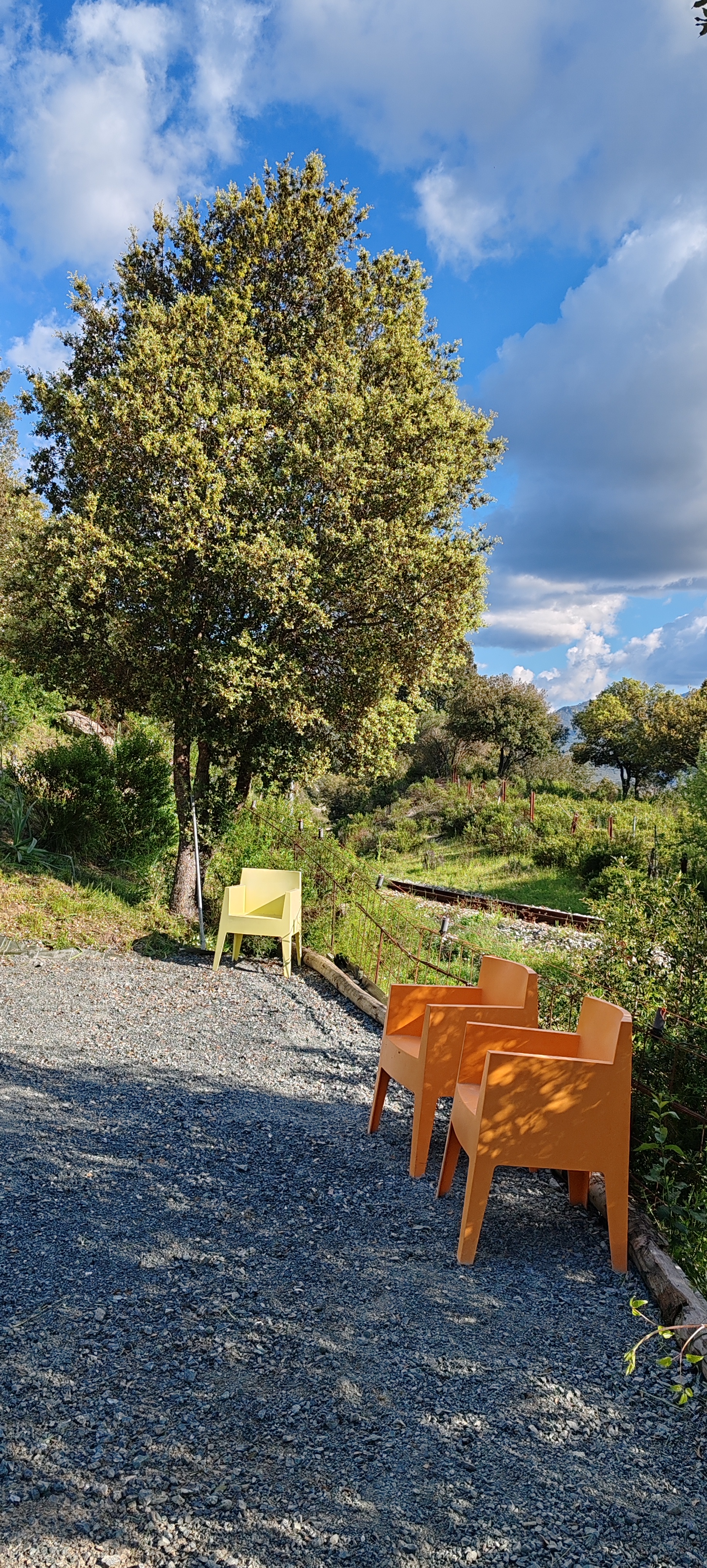  le jeu de boules, au pied des chambres